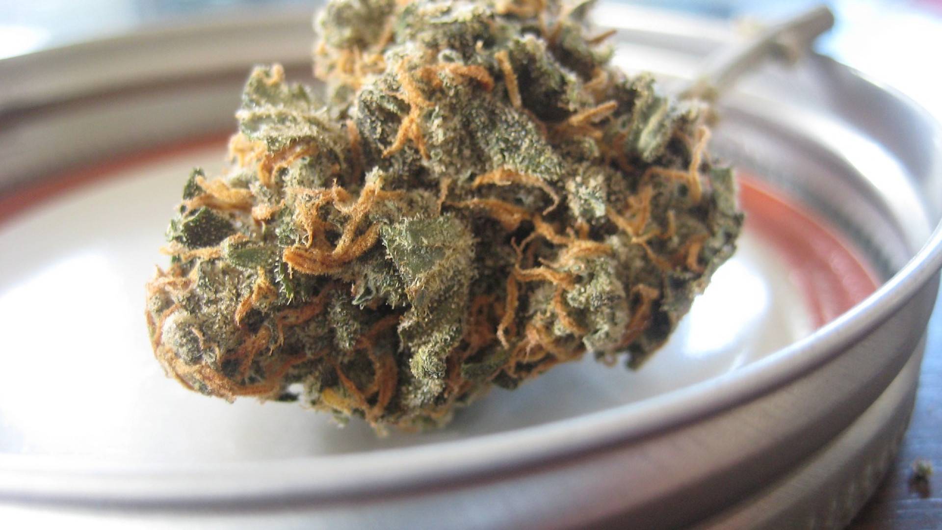 Comment acheter des fleurs de CBD sans se tromper ?