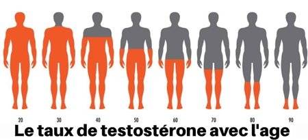 Signes qui indiquent une carence en testostérone chez les hommes