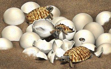 Des chercheurs trouvent un embryon dans l’œuf de tortue préhistorique