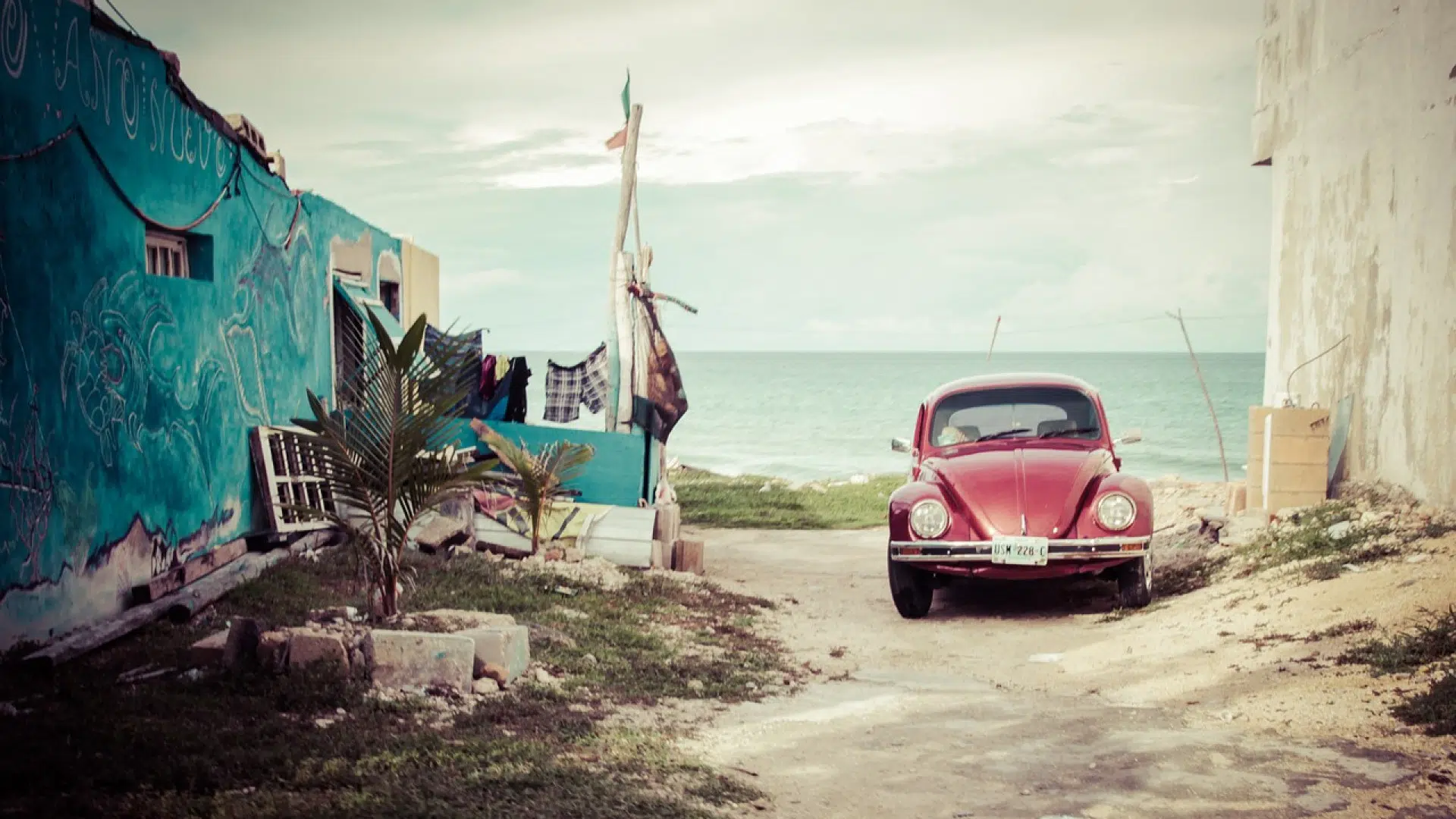 Location de voiture en Martinique : quels bons plans ?
